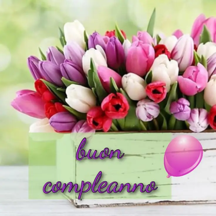 Celebra il compleanno con tulipani colorati