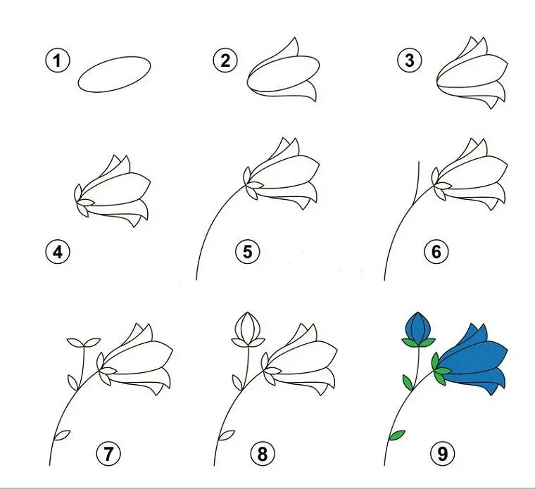 disegnare fiori - Cosa vuol dire quando si disegnano fiori