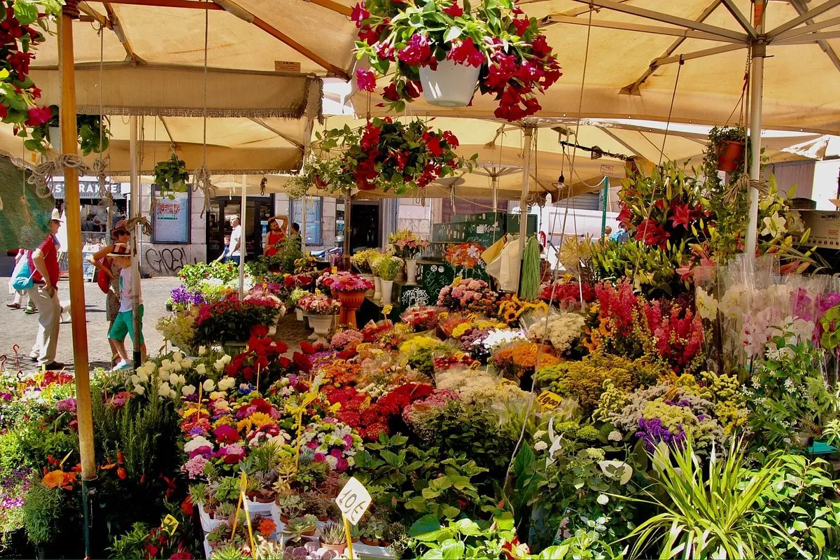 fiori roma - Dove si mandano i fiori per un funerale