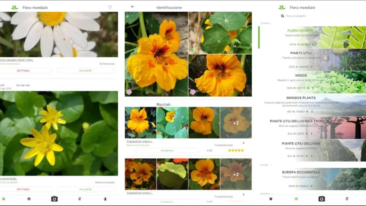 app riconoscimento piante e fiori gratis - Qual è la migliore applicazione per riconoscere le piante