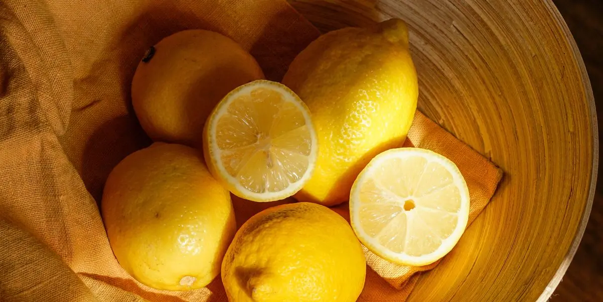 trucchi per far fiorire i limoni - Quando fioriscono i limoni in vaso