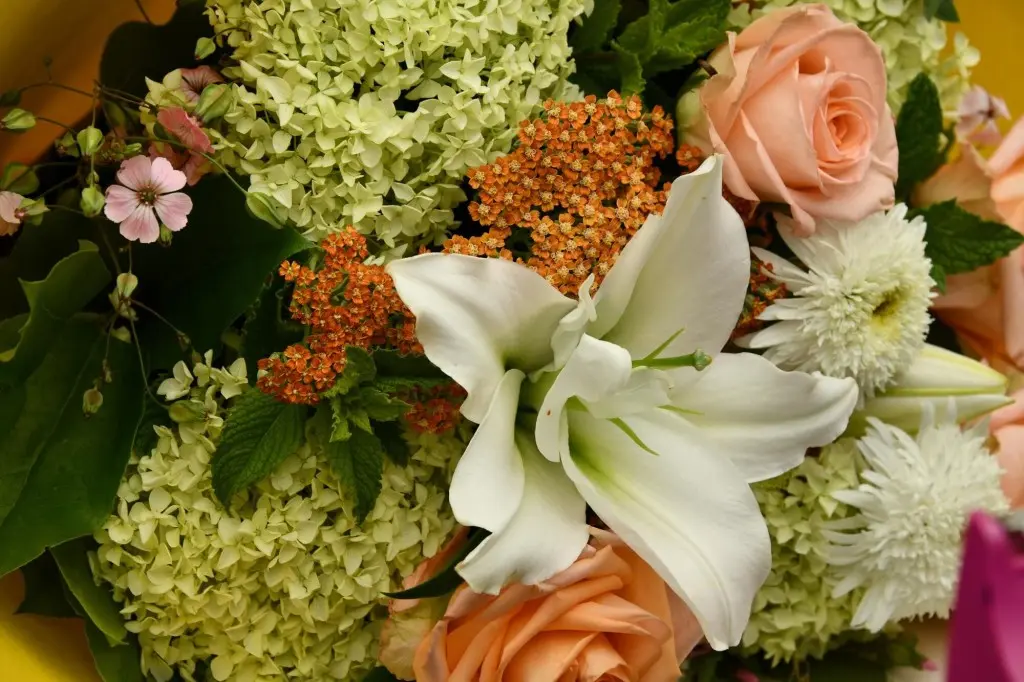 fiori per anniversario di matrimonio - Che fiori si regalano per un anniversario di matrimonio