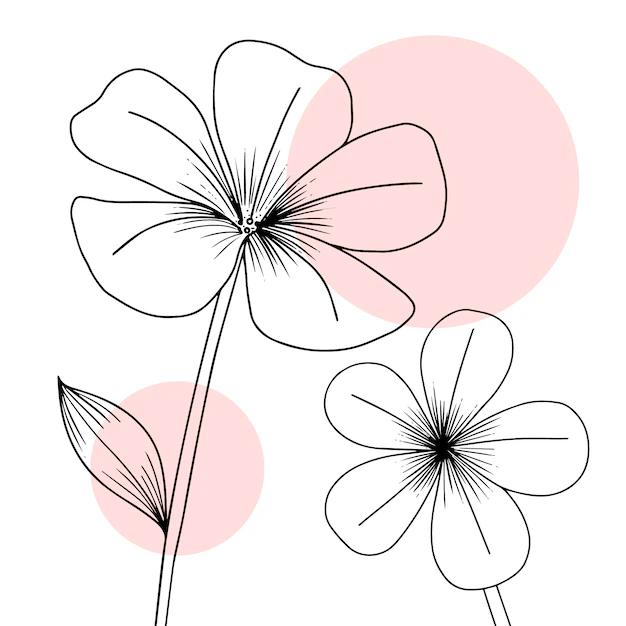 disegnare fiori semplici - Come colorare un crisantemo