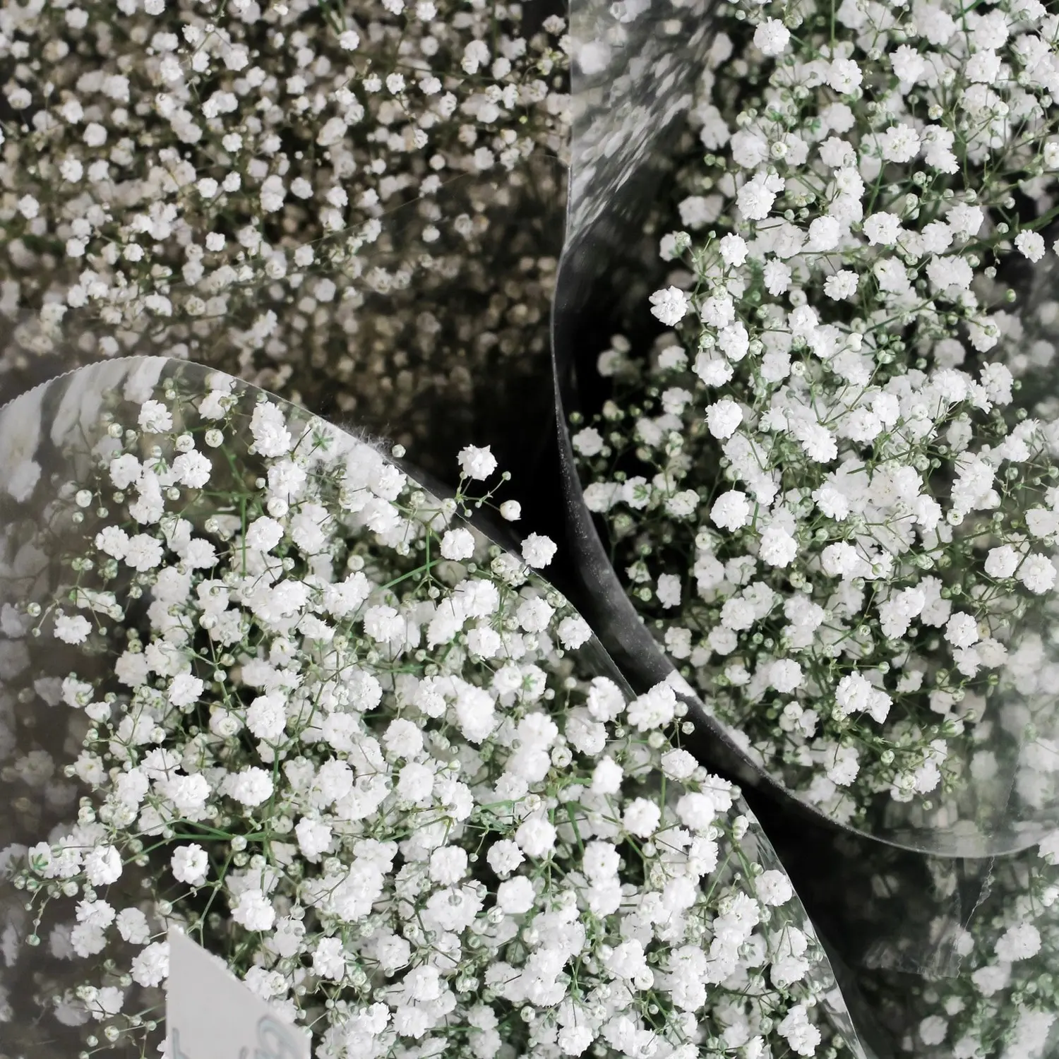 velo di sposa fiore - Come conservare il velo da sposa fiore