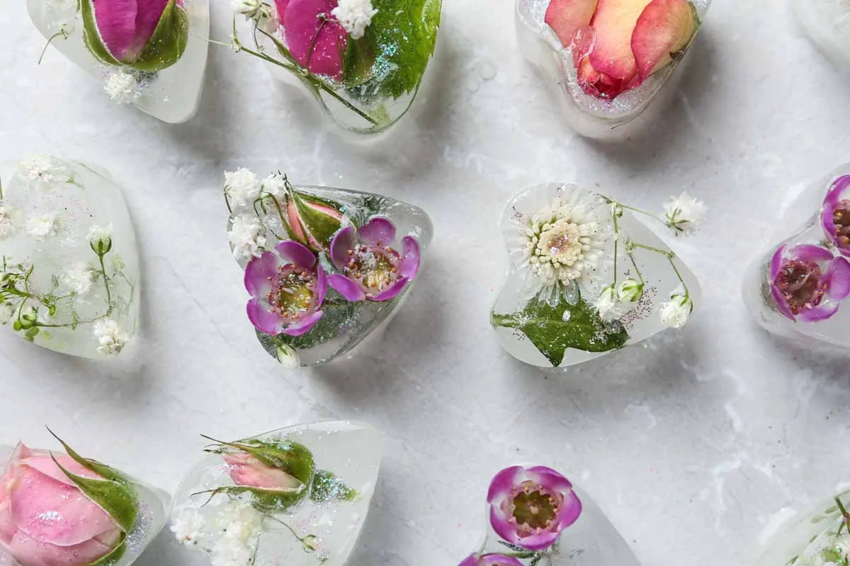 fiori nel ghiaccio - Cosa mettere nei cubetti di ghiaccio