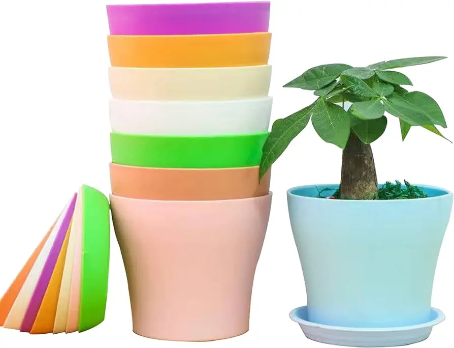 vasi di plastica per fiori - Dove si buttano i vasi di plastica per i fiori