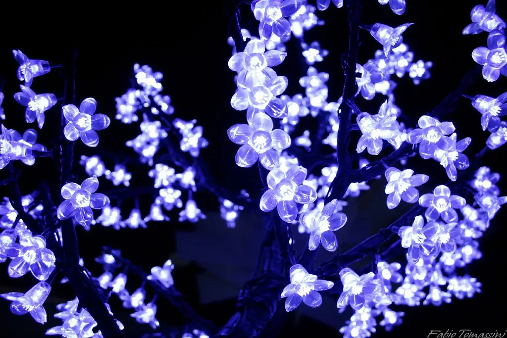 fiori luce - Quale luce assorbono le piante