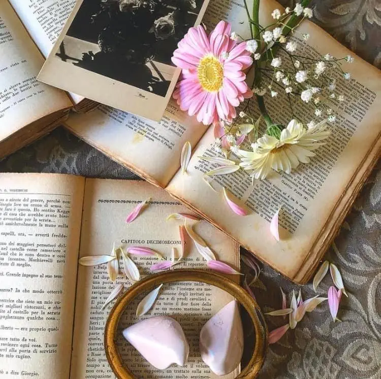 Libri e fiori: un connubio perfetto per la mente e l'anima