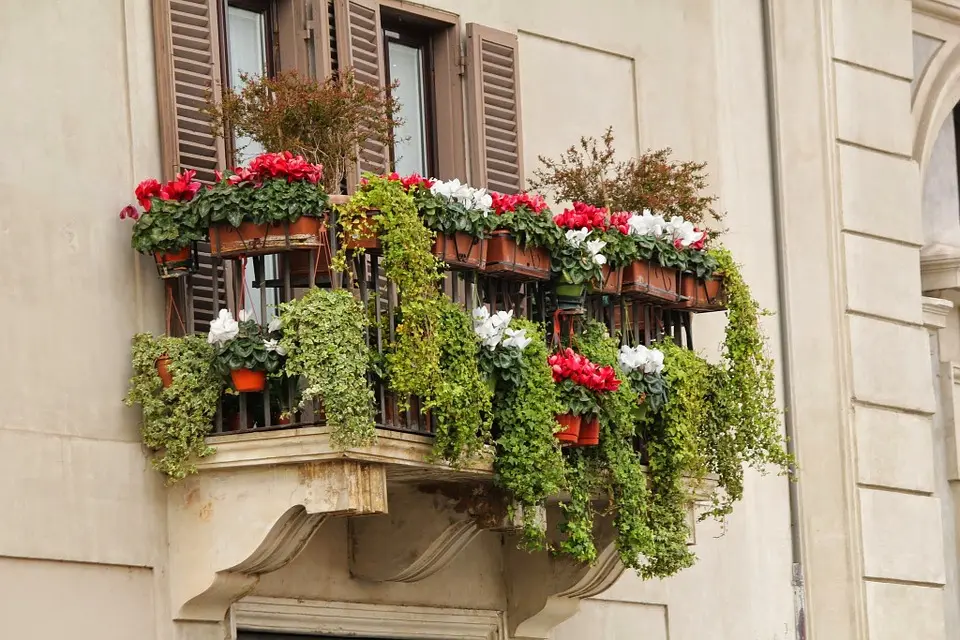 terrazzi fioriti - Quali sono le migliori piante da terrazzo