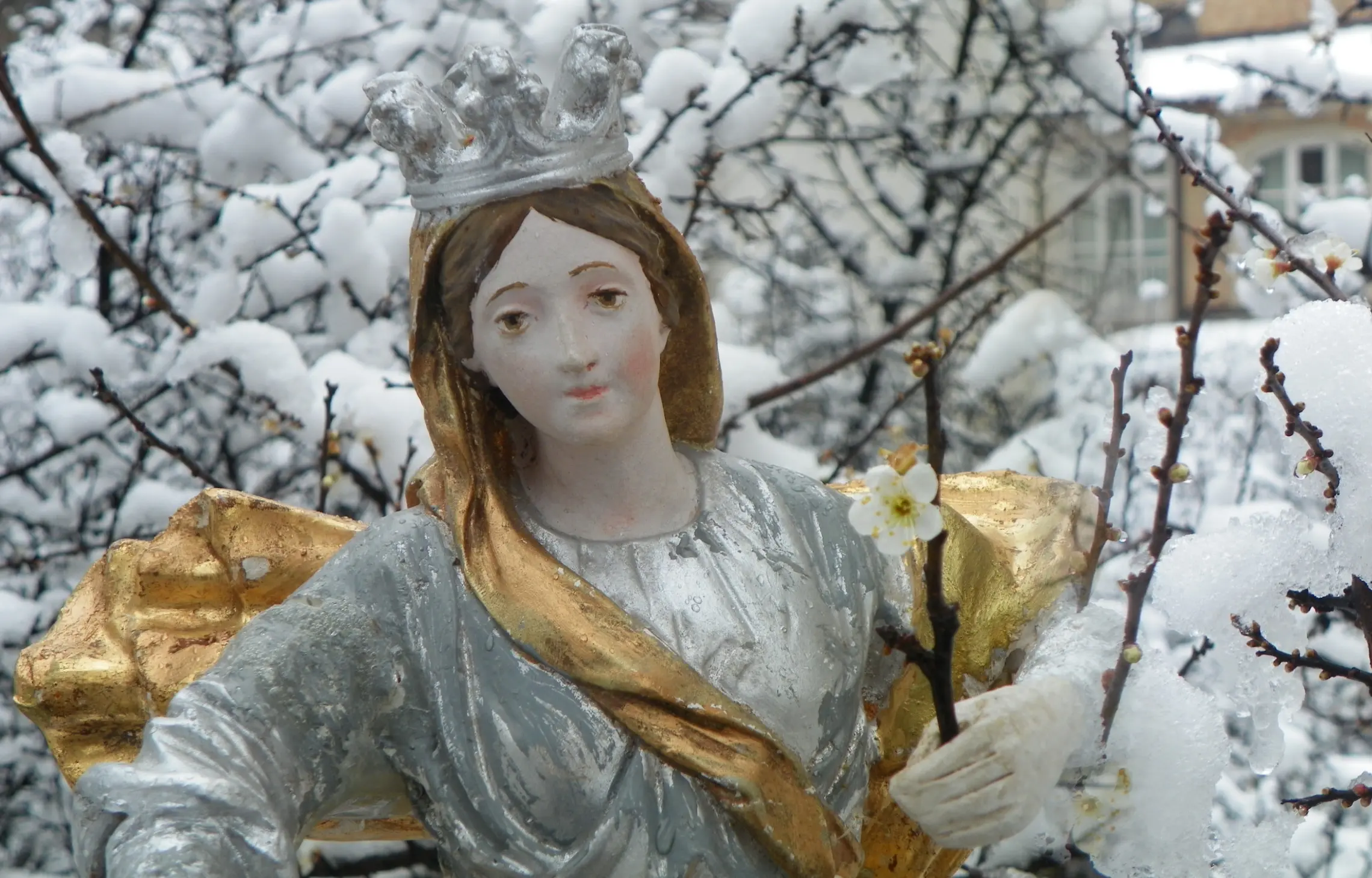 madonna dei fiori bra - Quando si festeggia la Madonna dei Fiori